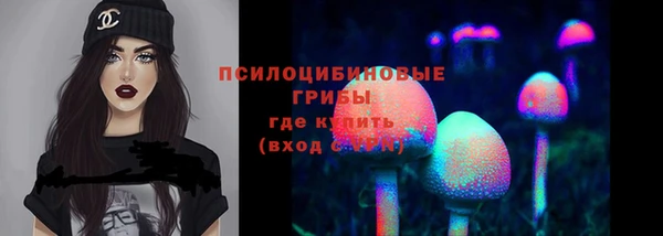 сатива Белоозёрский