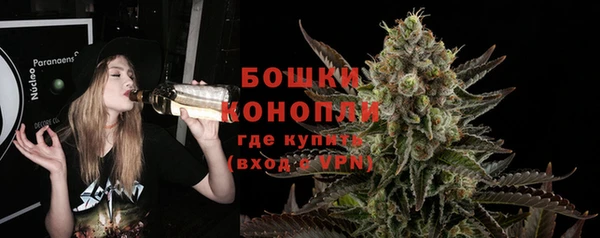 гидропоника Богданович