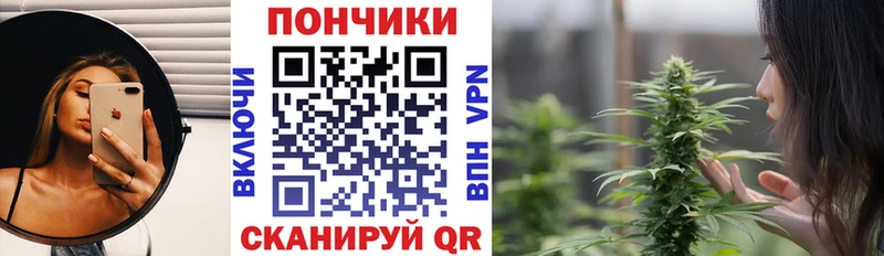 как найти закладки  Весьегонск  Бошки марихуана индика 